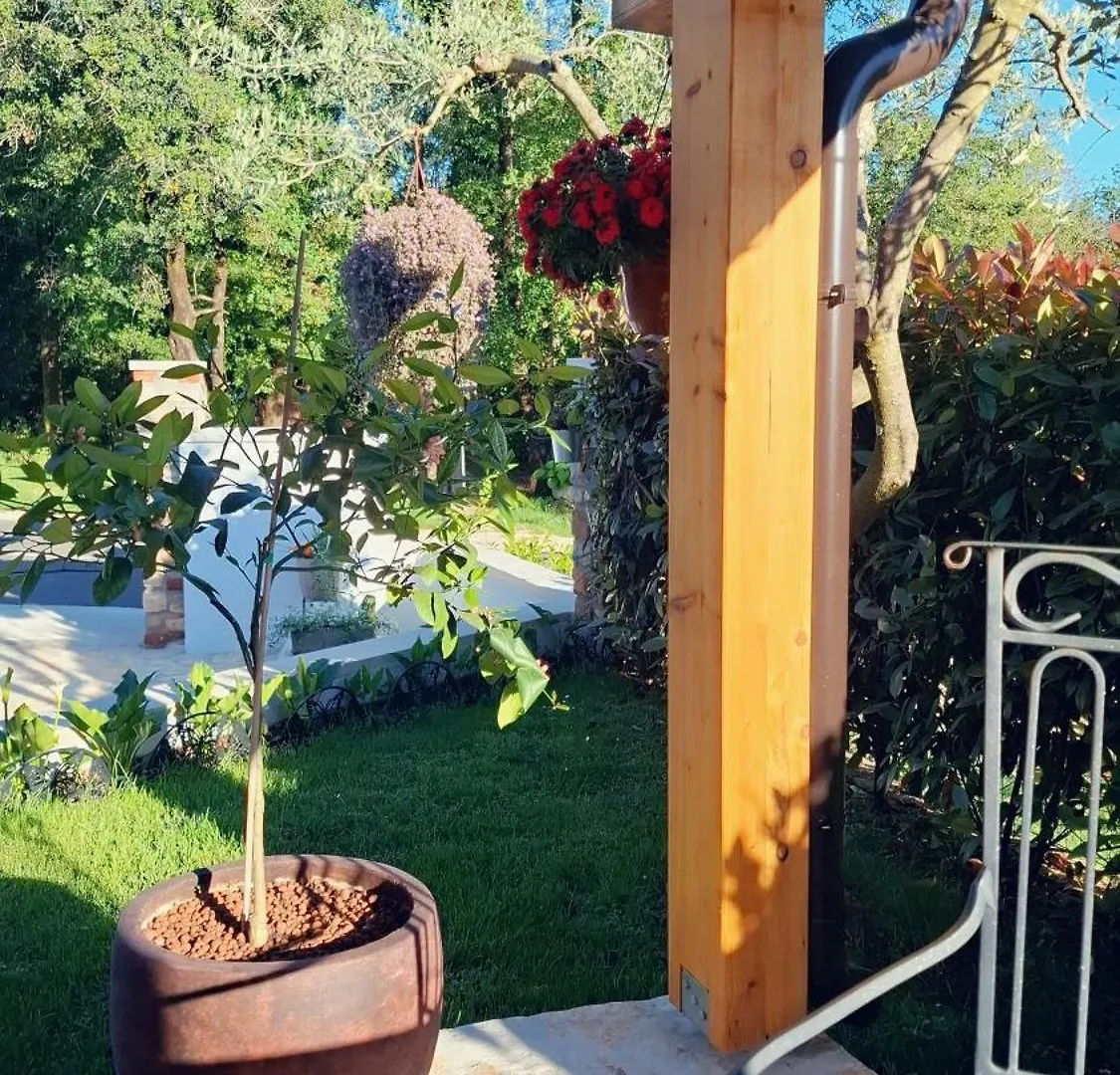 Apartment Damiani Umag